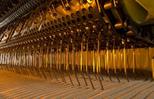 Surf Rake tine raking conveyor belt