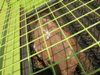 большой камень на конвейерной ленте